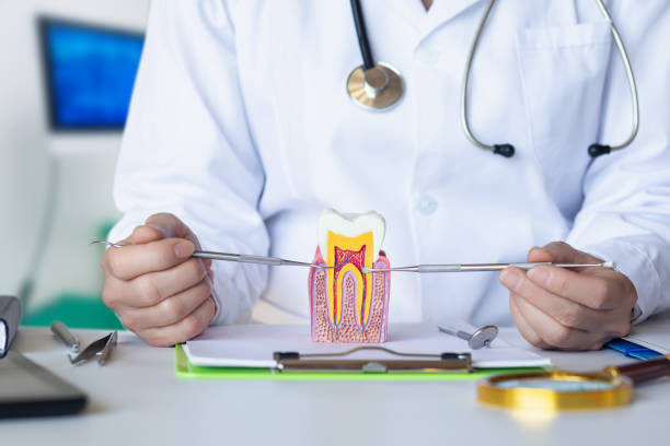 Best Emergency Treatment for Dental Infections or Abscesses in Hasbrouck Heights, NJ